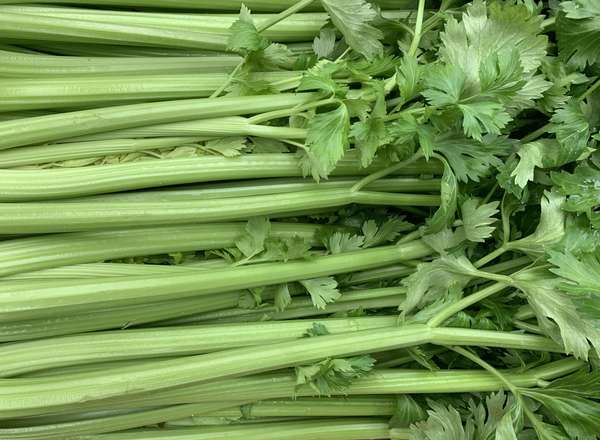 Organic Celery