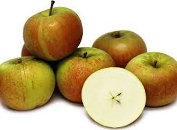 Organic Apples UK