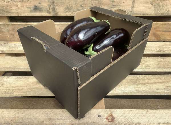 Organic Aubergine