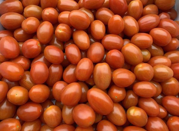 Tomatoes - Mini Plum (Spain)