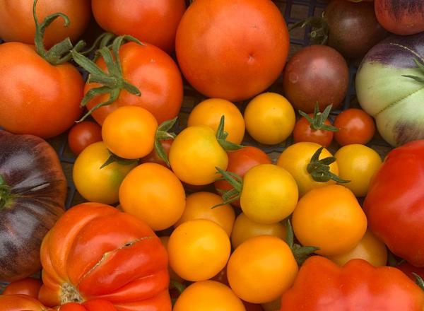 Heirloom Tomatoes