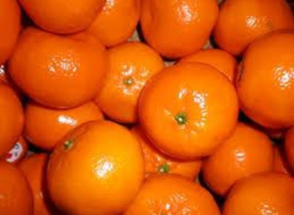 Mandarins (Spain)