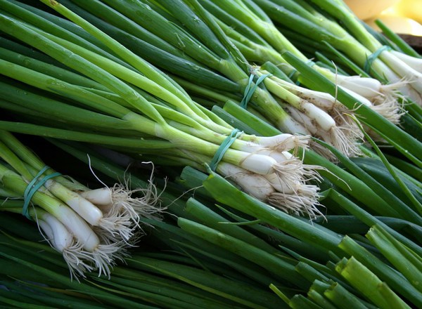 Organic Local Salad Onions