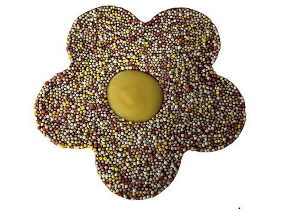 Milk Chocolate Daisy