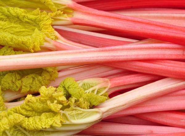 Champagne Rhubarb (400g)