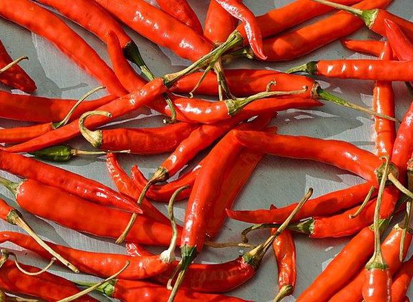 Chilli: Red (large)