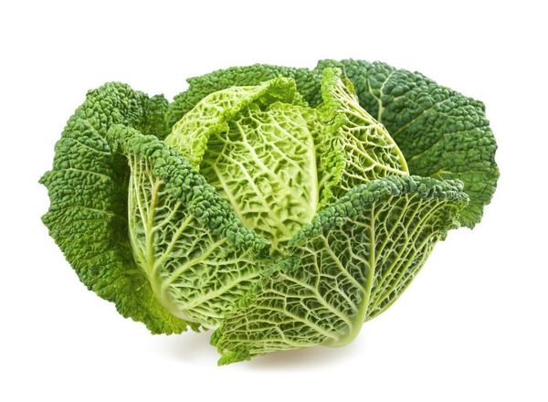 Cabbage: Savoy