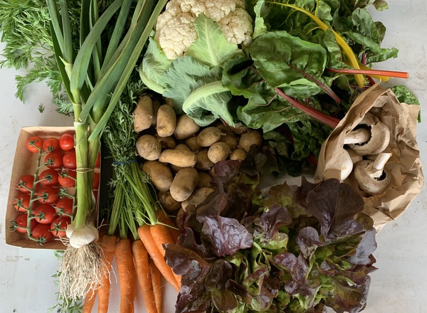 Medium Organic Veg Bag