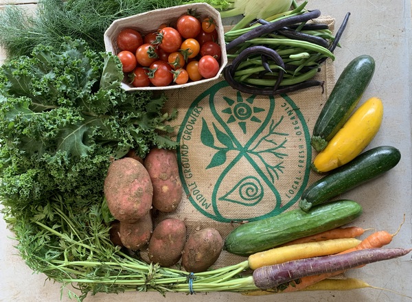 Medium Organic Veg Bag