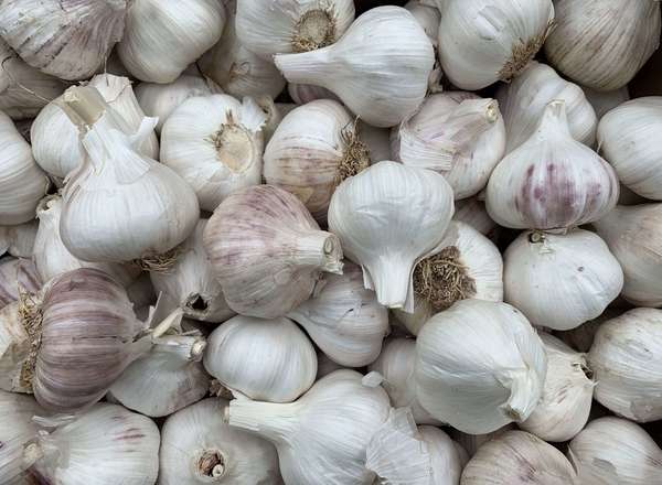 Garlic - 100g