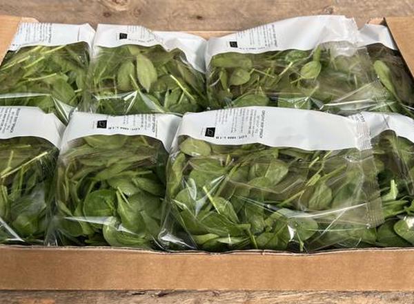 Spinach