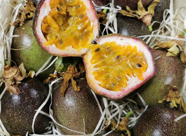 Passion Fruit Organic ESP