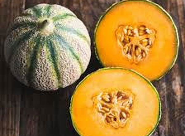 Melons Cantaloupe - Organic ESP