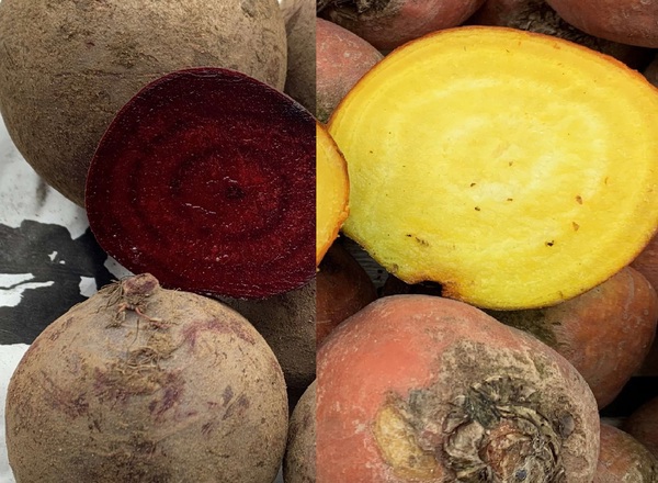 Beetroot - Mixed Red & Golden (East Lothian, UK)