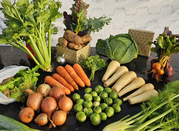 Organic Christmas veg box - Medium (13 items)