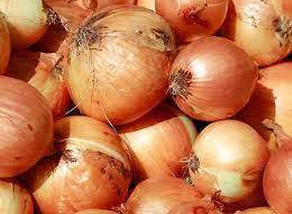 Brown Onions (500g)