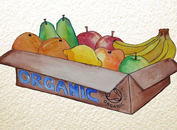 Organic Fruit Boxes