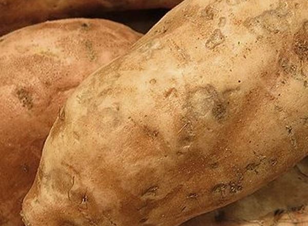 Sweet Potato (Organic)