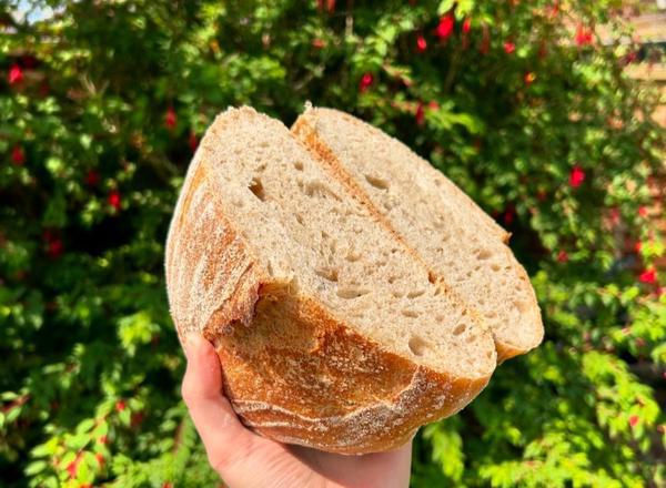Sourdough white organic bread not available Thursday/Fri