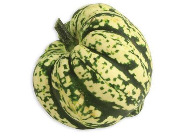 Squash- Harlequin (Organic)