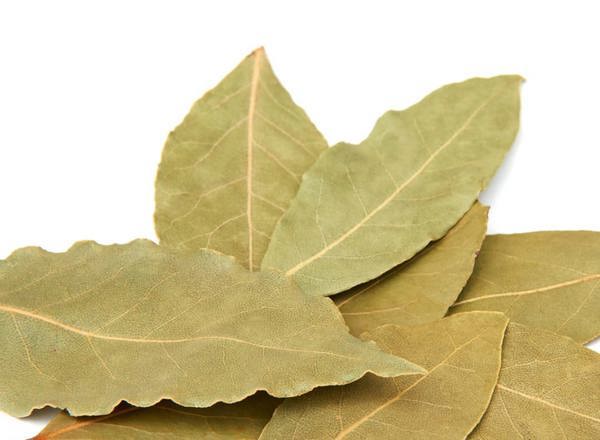 Bay Leaves