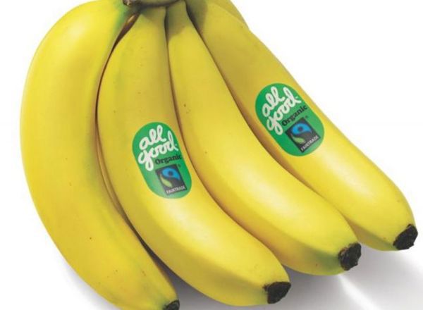 Bananas Organic IMPORT