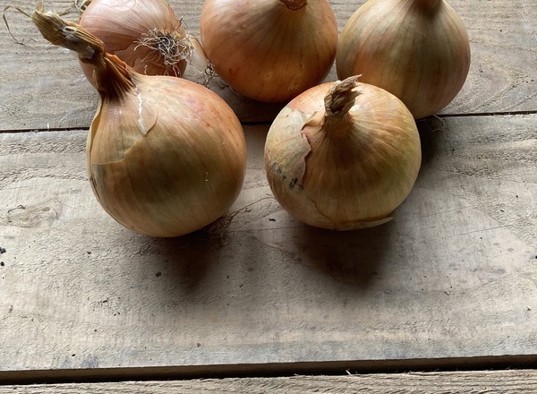 White onions