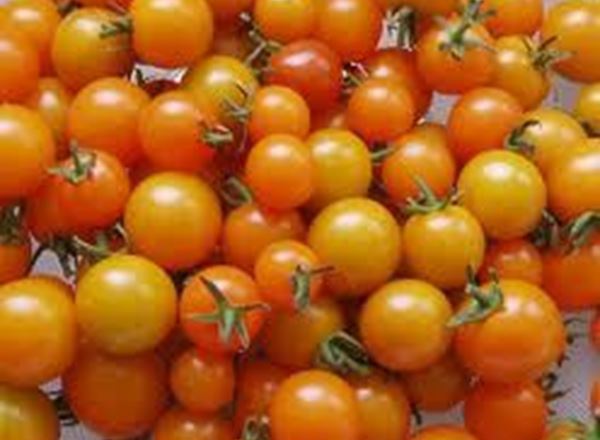 Tomatoes Golden Cherry 200g (Own Grown)