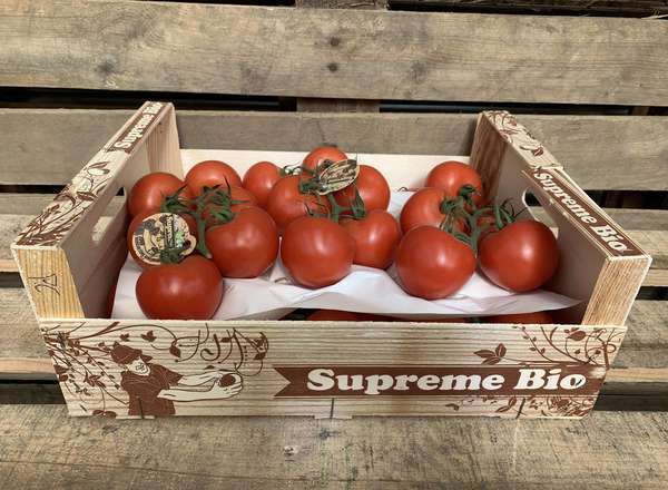 Tomatoes - Spanish Organic vine - 4 - 8 units