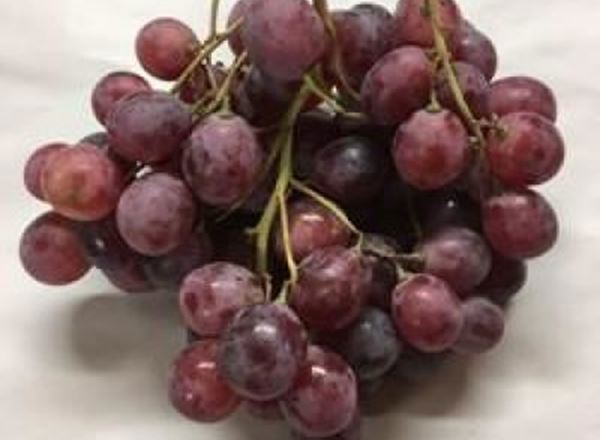 Grapes Red - Organic Chile