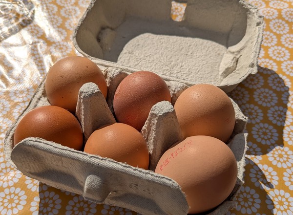 Eggs