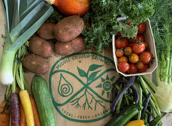 Large Organic Veg Bag