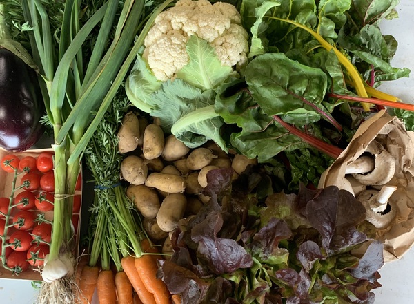 Large Organic Veg Bag