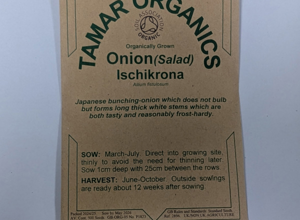 (Seeds) Onion (Salad) - Ischikrona