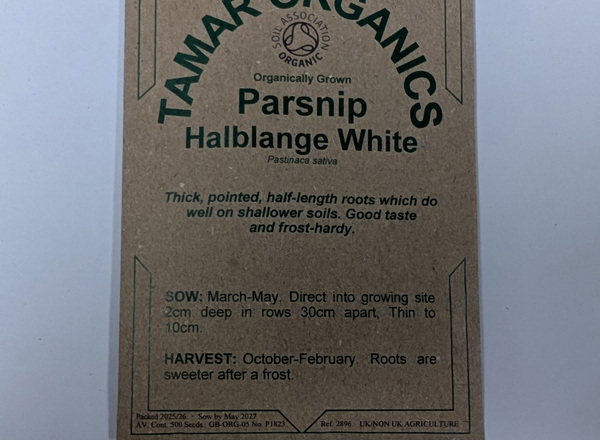 (Seeds) Onion (Salad) - Ischikrona