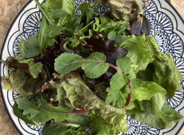 Mixed leaf salad bag