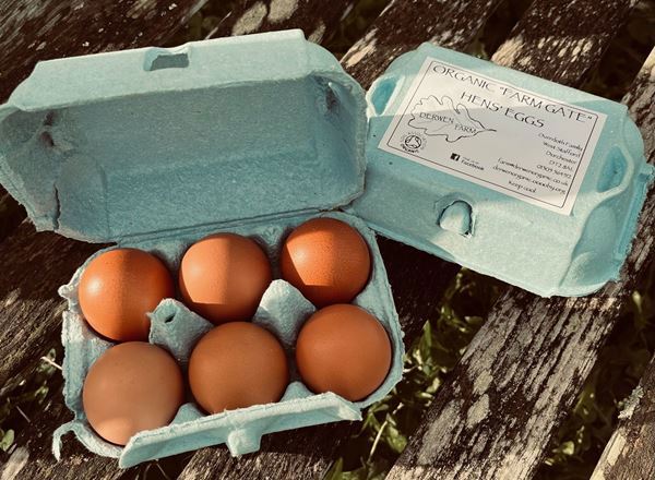 Eggs 12, Community Share Donation