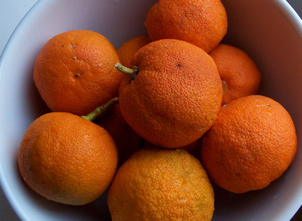 Seville Oranges