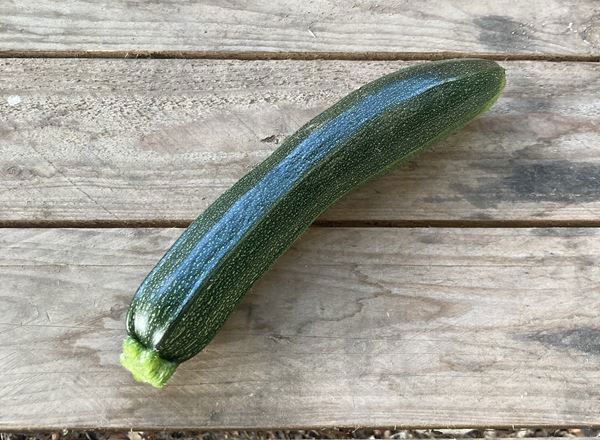 Green Courgette