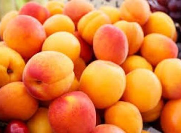 Apricots 250g