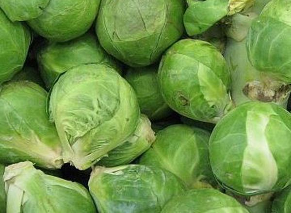Brussel sprouts (Bagged)