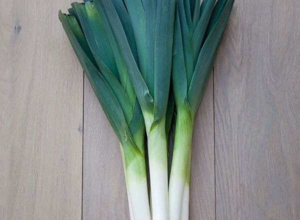 Leeks Organic