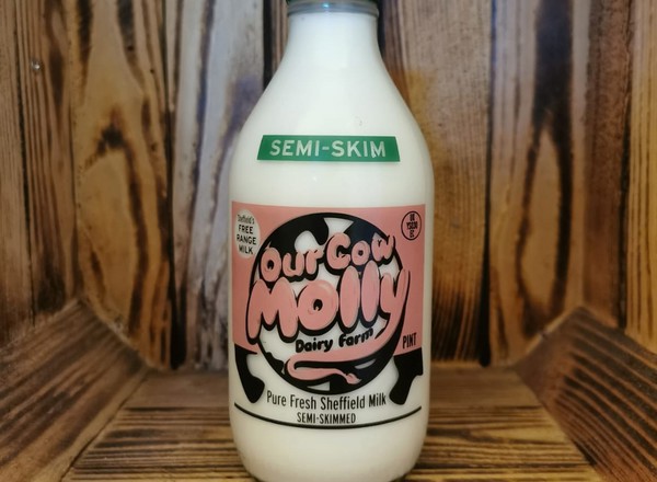 Our Cow Molly 1pint Glass Semi