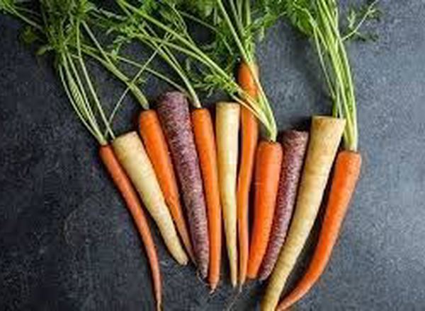 Carrot: Rainbow