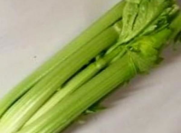 Celery - Organic ESP