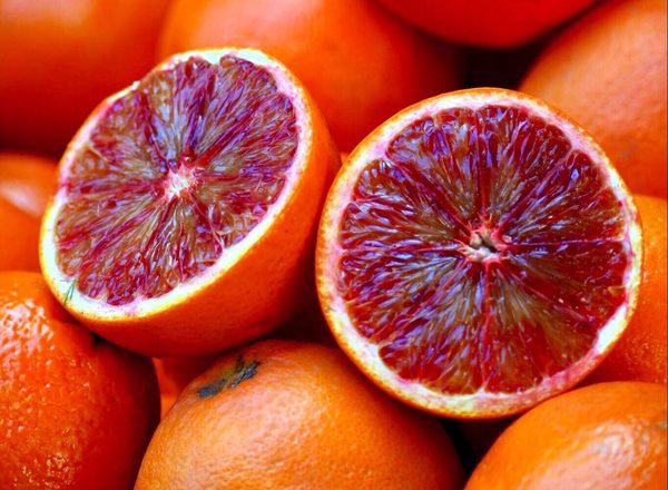 Organic Blood Oranges