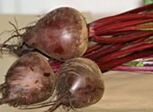 Beetroot - Bunched
