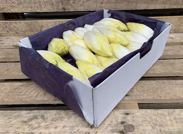 Organic Chicory