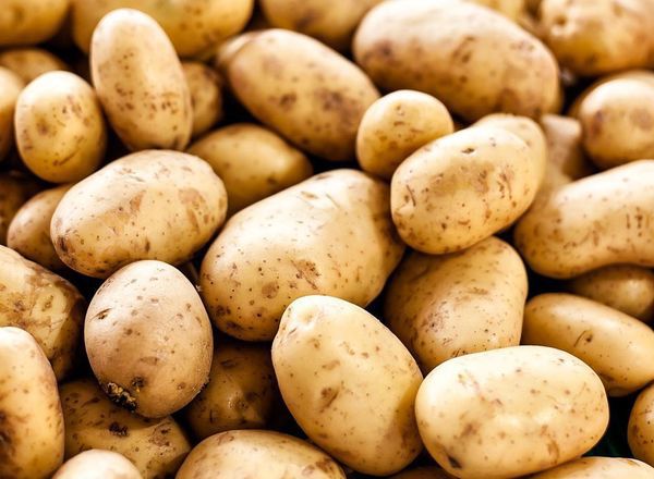 Organic Baking Potatoes