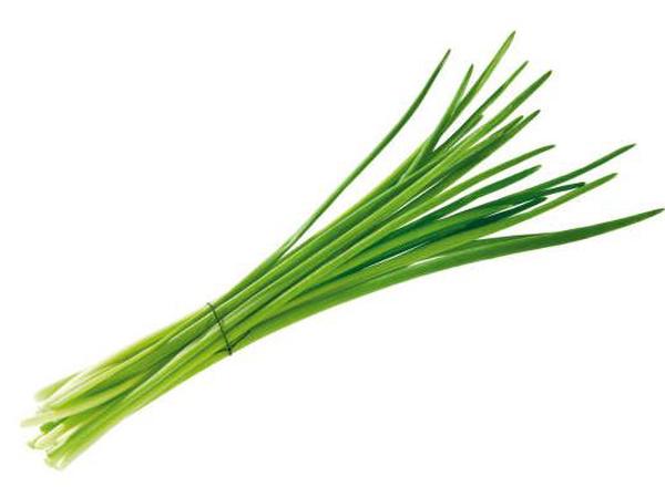 Chives